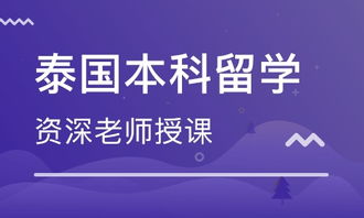 成都泰国出国留学课程与自费出国留学中介服务全解析